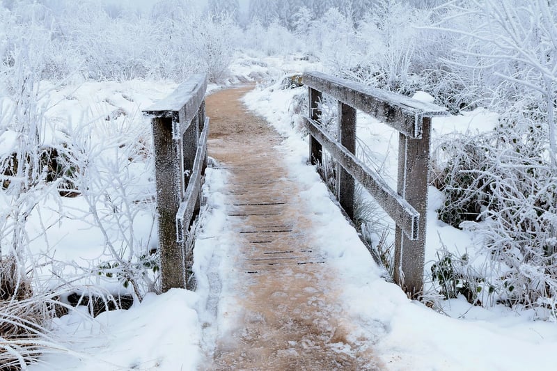 Magical Pathways