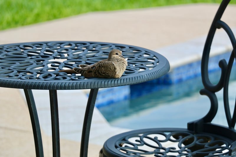 Cozy Seating